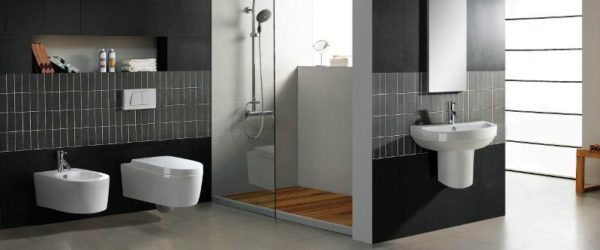 Sanitary_Ware_Wall_Hung_Toilet